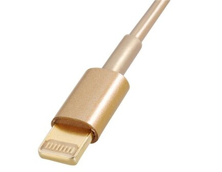 1 meter Gold Lightning naar USB kabel voor iPhone 5 / iPad / iPod
