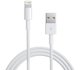 1 meter Lightning naar USB kabel voor iPhone 5 / iPad / iPod
